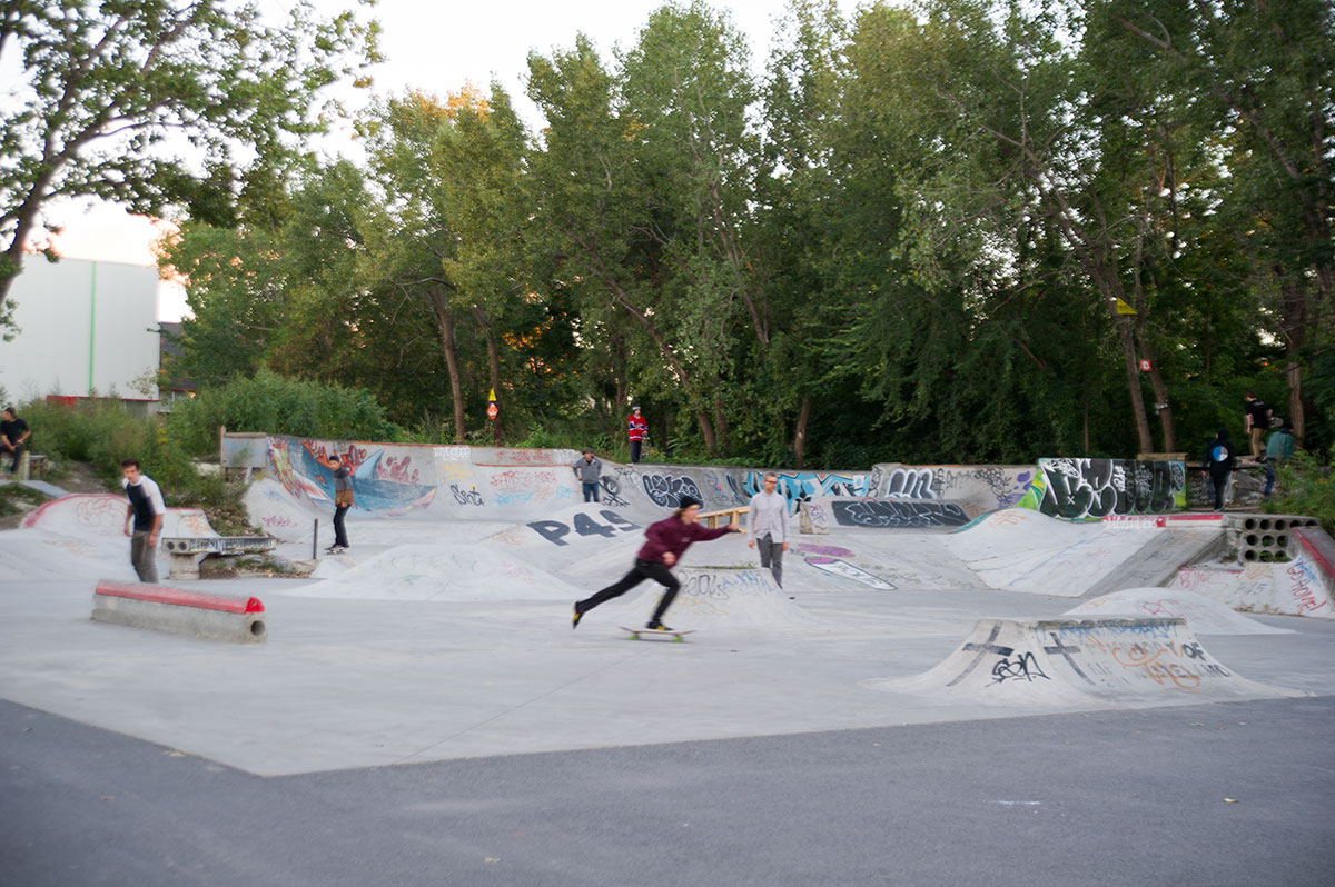 backyard skatepark diy 