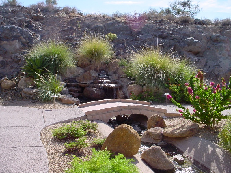 desert landscaping backyard 